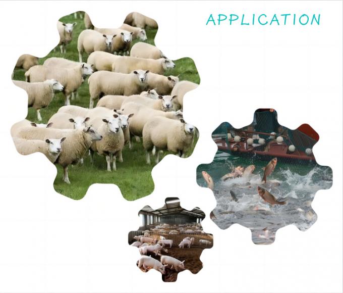 Additivo per mangimi al nano-selenio da lievito 2000mg/kg per bestiame e pollame 1