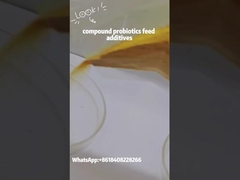 Additivo per mangimi complesso Probiotici Bacillus Subtilis Composto Preparazione microbica