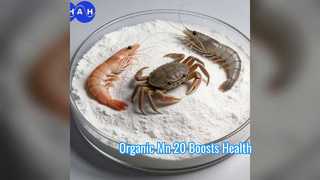 Boost Animal Health Organic Mn 20 additivo per mangimi