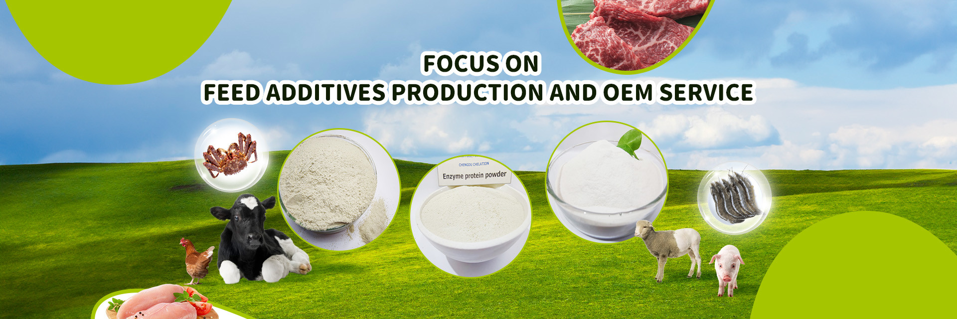 qualità Aminoacidi additivi per mangimi fabbrica