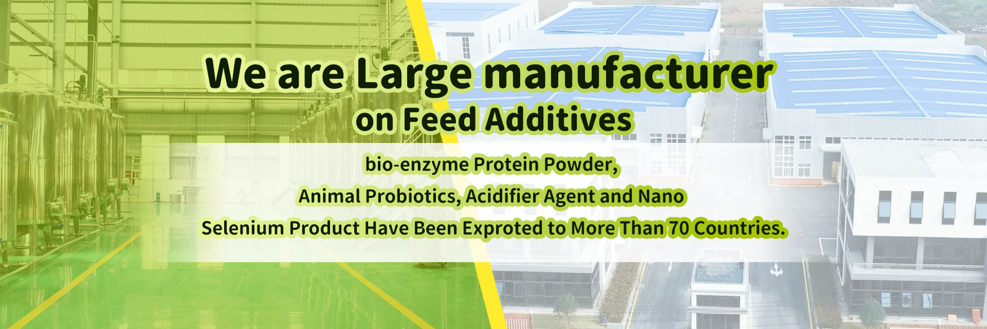 qualità Aminoacidi additivi per mangimi fabbrica