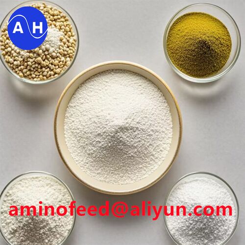 Latest company news about La funzione del minerale peptidico chelato proteico nel mangime per pollame