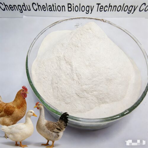Latest company news about Ferro chelato proteico organico 20% | Additivo per mangime per pollame ad alta efficienza